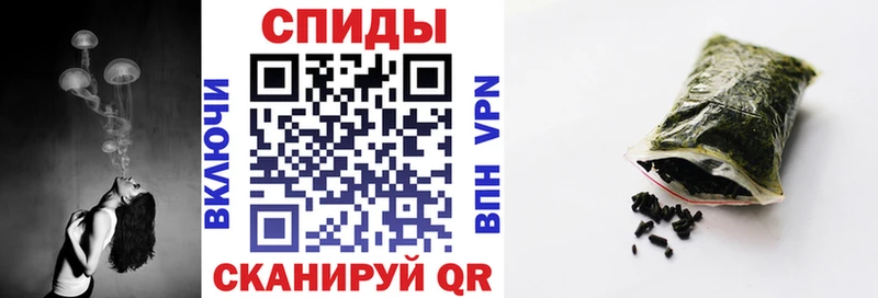 где продают   Артём  Бутират BDO 